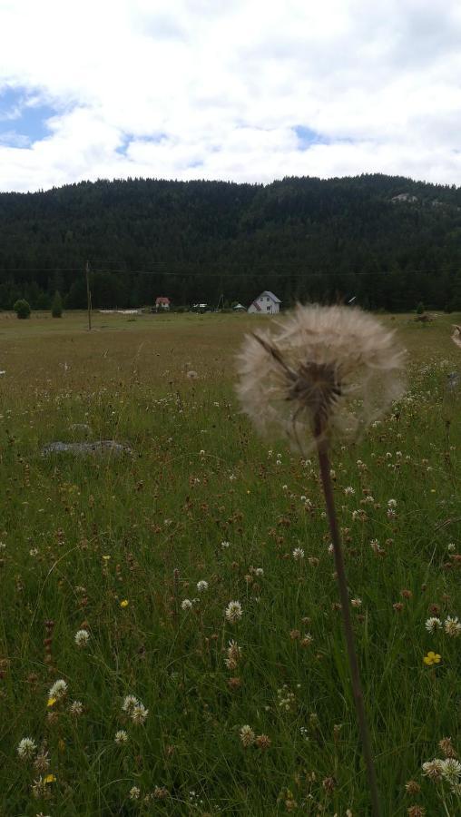 Vikendica Borje Villa Žabljak Eksteriør billede