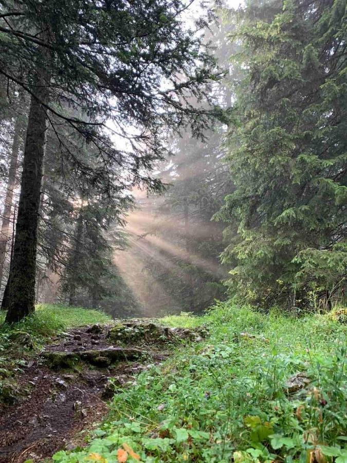 Vikendica Borje Villa Žabljak Eksteriør billede